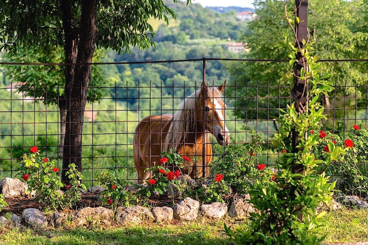 Agriturismo Il Porcellino Quinto di Valpantena Buitenkant foto
